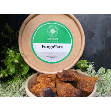 FungoЧага (100г) FungoЧага (100г)
